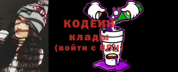 амф Верея