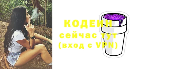 прущие грибы Бугульма