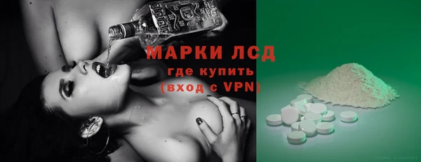 прущие грибы Бугульма