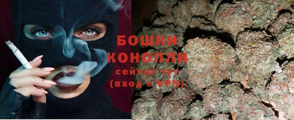 трава Бородино