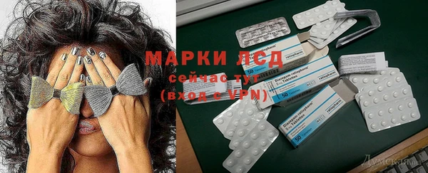 прущие грибы Бугульма