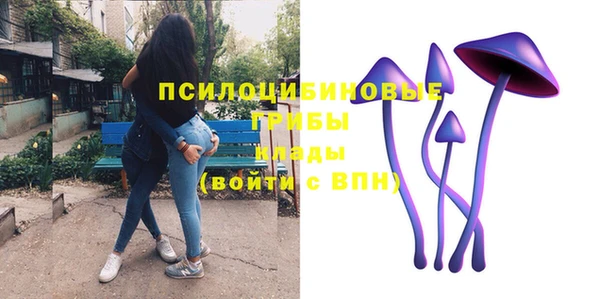 трава Бородино