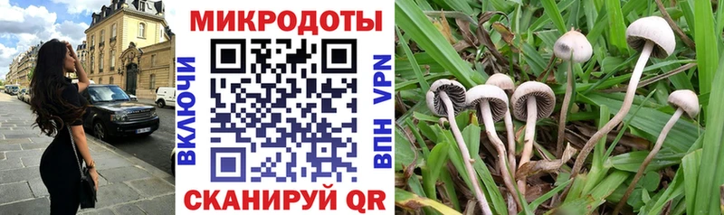 Галлюциногенные грибы Cubensis  Купить где  Называевск 